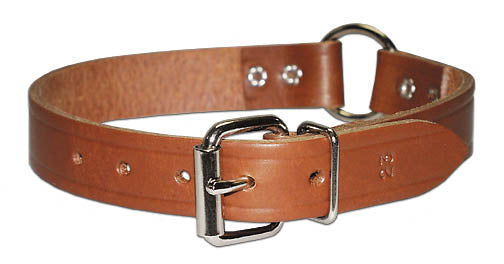 Leather Brothers  Leather Collar with Ring in Center - 3/4 x 16 in. (3/4 x 16 in.)