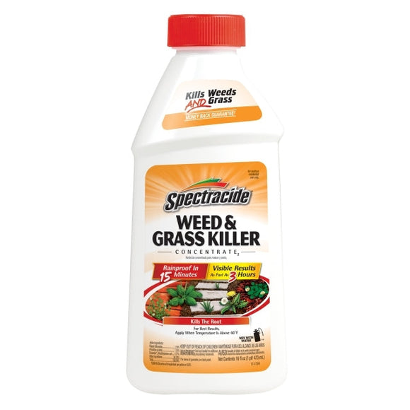 SPECTRUM BRANDS SPECTRACIDE® WEED & GRASS KILLER CONCENTRATE (1 gal)