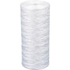 Pentair/Omni/Residental Filtration RS24-SS2-S18 25mc Str Filter