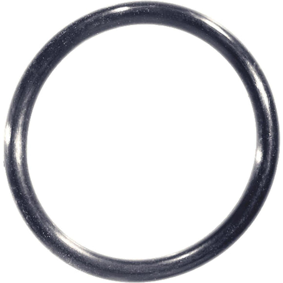 Danco #98 1-7/16 In. x 1-11/16 In. O-Ring (20 Ct.)